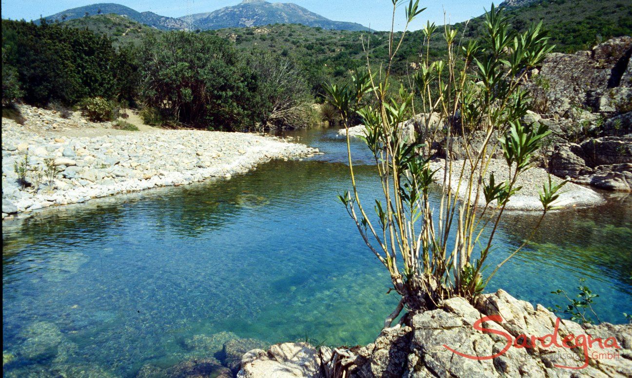 Riu Ollastu, Muravera