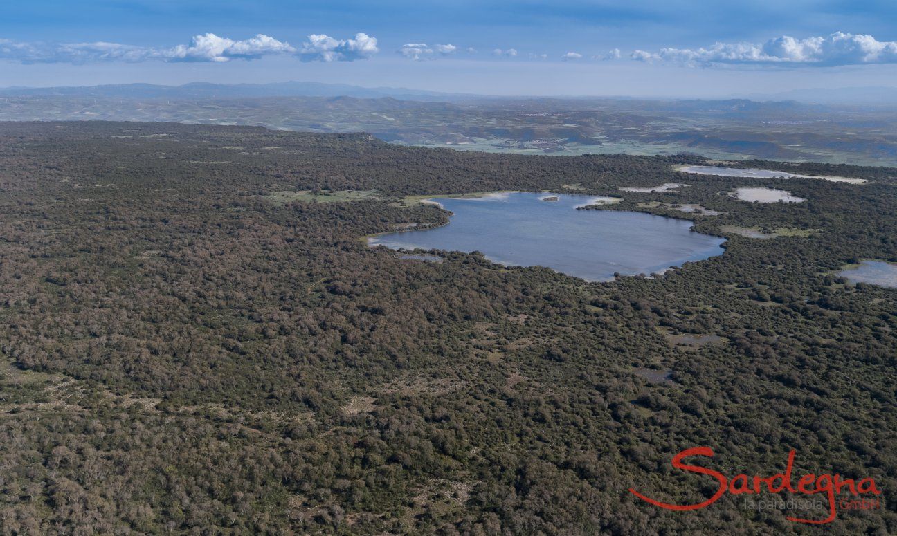 Altopiano Giara di Gesturi  Sardegna