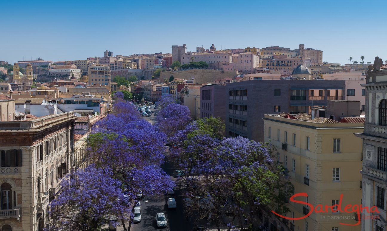 Cagliari la capitale della Sardegna