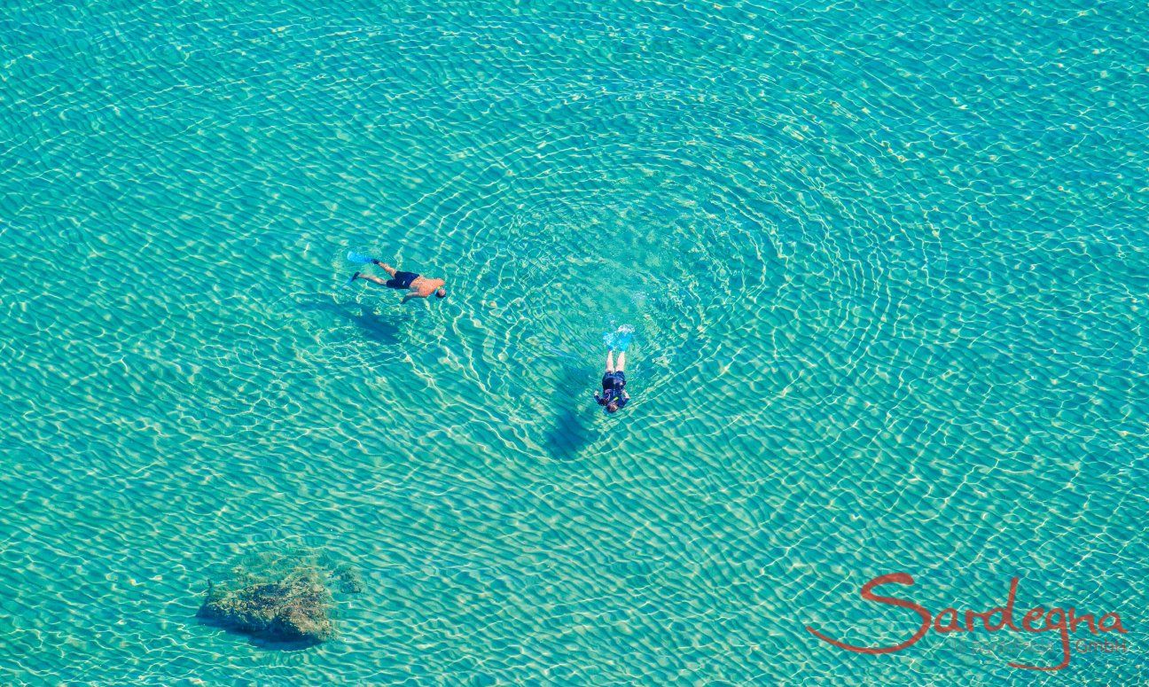 Spiaggia Torresalinas