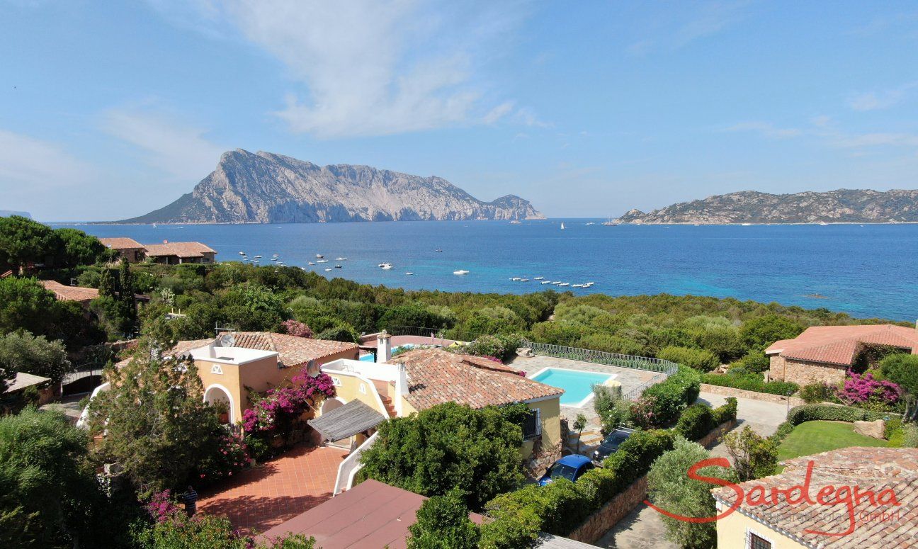 Villa Maestrale | Villa singola con piscina e vista mare Villa Maestrale, Cala Ginepro, Nord Sardegna
