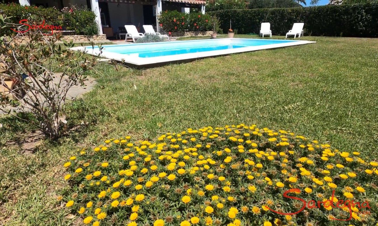 Villa Bua | Video Villa Bua Costa Rei Video Villa Bua Costa Rei