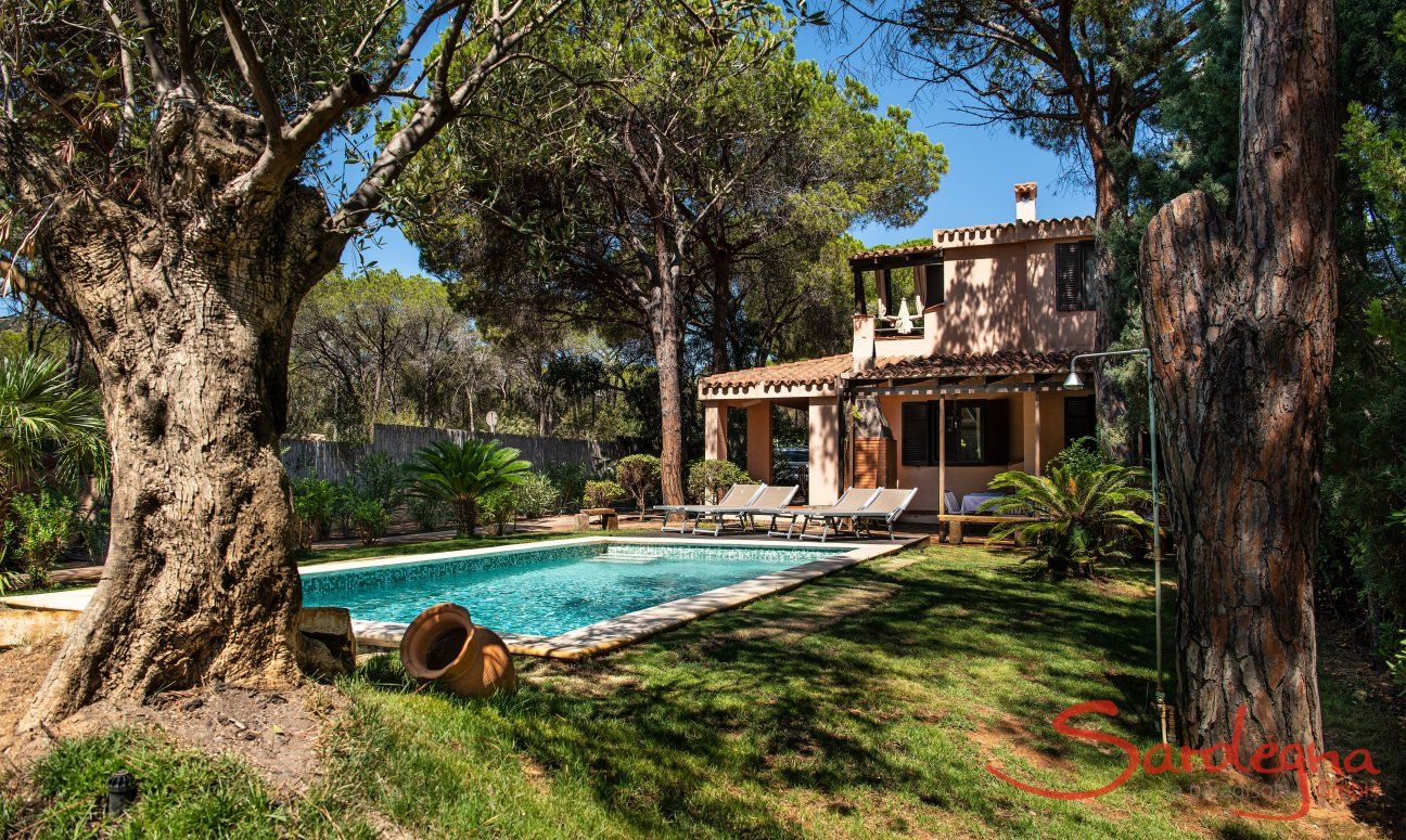 Villa Pino | Pool e giardino Pool e giardino
