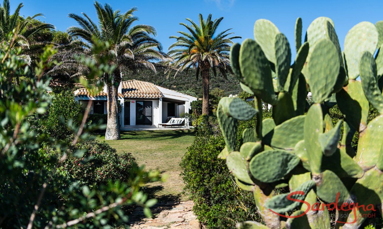 Villetta 3 | Vista della casa e del giardino di cactus Visione della casa Villetta 3 Costa Rei