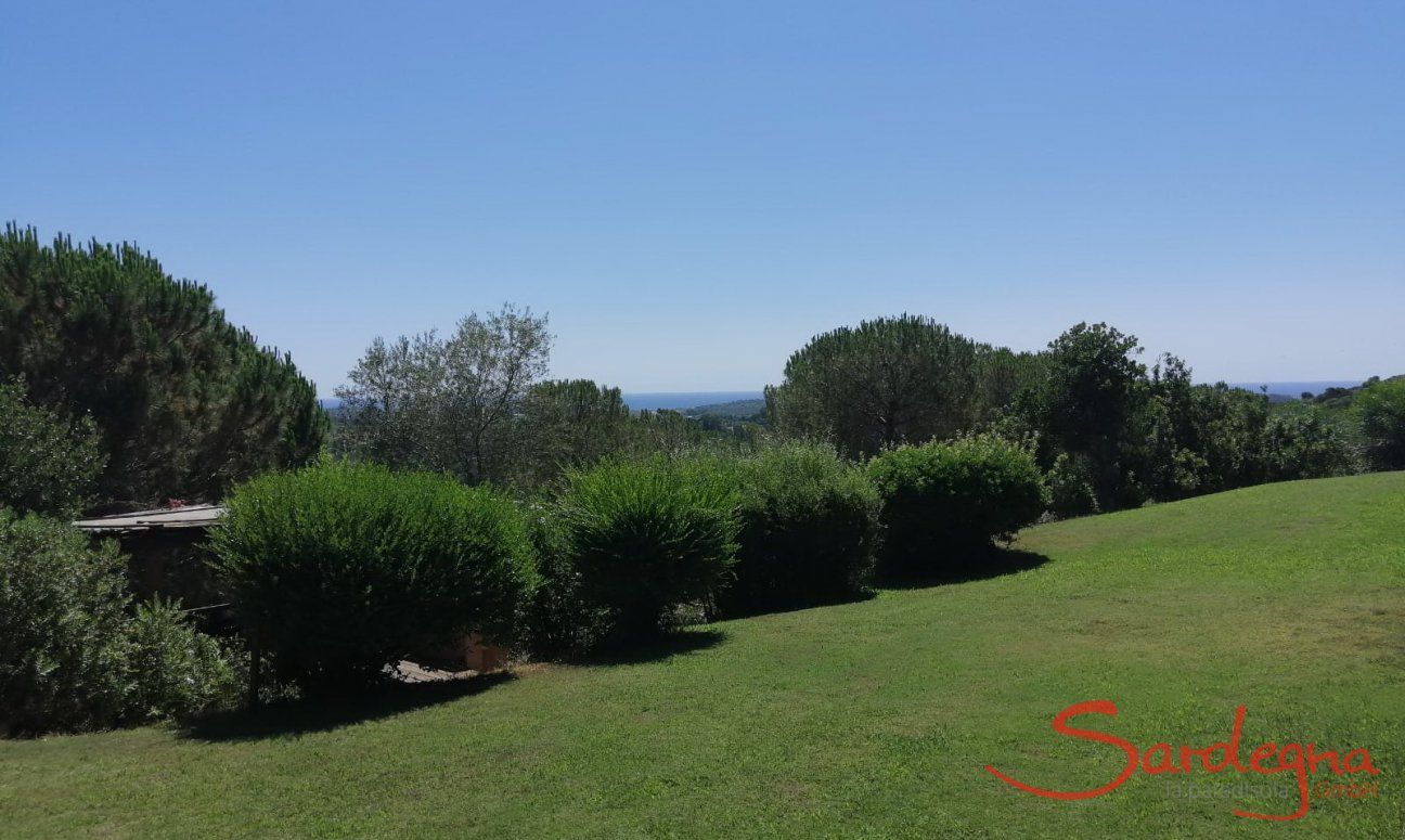 Villa Fiori 3 | Grande giardino Villa Fiori 3 Villa Fiori 3
