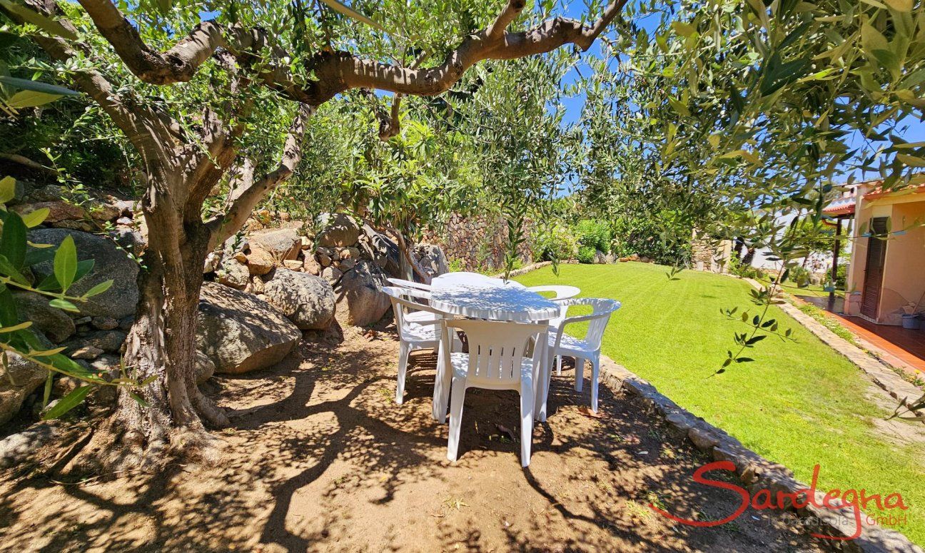 Villa Lucia | Tavolino da giardino sotto un olivo secolare New Picture
