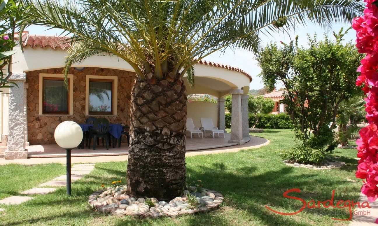 Villa Zoello 10 | Grande palmo nel giardino Villa Zoello