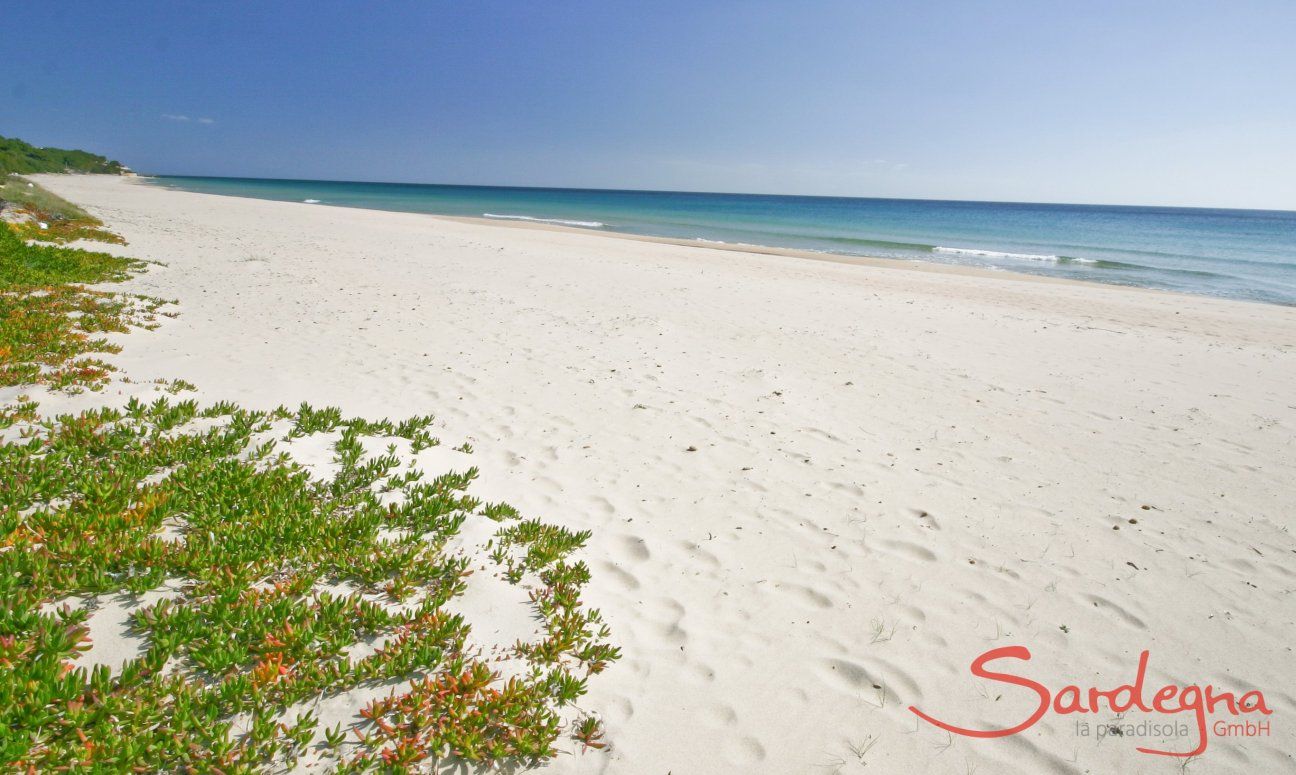 Spiaggia davanti alla casa