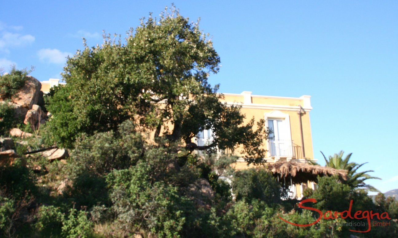Villa Aquila Alta | Villa Aquila Alta nel bel mezzo di una fantastica vegetazione Villa