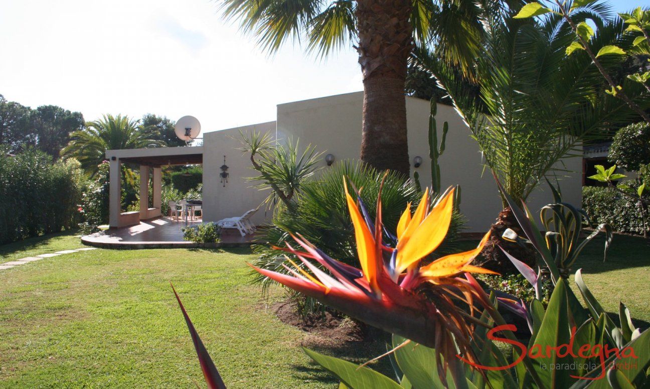 Villa Giangaleazzo | Fiori colorati nel giardino Giardino