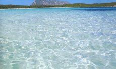 Villa Maestrale | Mare limpido vicino alla casa Mare limpido di San Teodoro