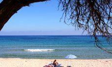 Villa Alessia | Relax sulla spiaggia di Costa Rei Spiaggia