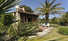 Villa Carla | Giardino grande con palmo Giardino