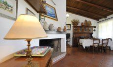 Villa Monica | Sala con camino Dettaglio