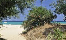Villa ToreMari | Sentiero per arrivare al mare Spiaggia Costa Rei