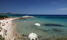 Sardegna