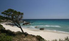 Apartment Azzurra | Spiaggia Porto Sa Ruxi, dista solo circa 2 km Spiaggia Villasimius