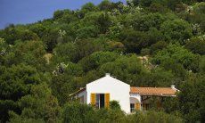 Villa Bau Cannas | Casa immersa nella natura verde Sardegna