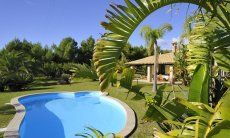 Villa Il Palmeto | Piscina Piscina