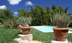 Villa Caroline | Giardino curata per godersi la vacanza Piscina
