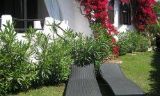 Villa ToreMari | Giardino mediterraneo con lettini da sole Giardino