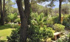 Villa Pino | Giardino grande con piscina in construzione, sarà pronta per la stagione 2020 Giardino