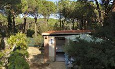 Villetta Pino | Veduta casa e ingresso Veduta casa