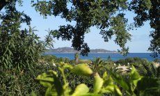 Villa Alessia | Vista mare dal giardino Vista mare
