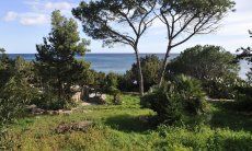 Apartment Cala Liberotto I | Giardino e mare adiacente Vista Giardino