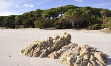 Spiaggia di Cala Liberotto