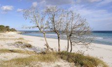 Cala Ginepro e una delle tante belle spiagge del golfo di Orosei