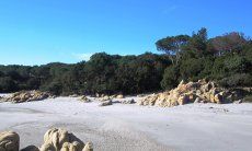 Apartment Cala Liberotto I | Spiaggia davanti a casa Sardegna