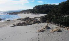 Apartment Cala Liberotto I | Spiaggia davanti a casa Sardegna
