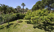 Villa Bua | Nel giardino crescono limoni Giardino