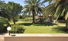 Villa Nautilus | Giardino di palme Giardino