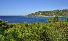 Sardegna