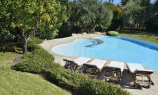 Villa Ulivi 12 | Piscina con lettini da sole e albero di limone Piscina