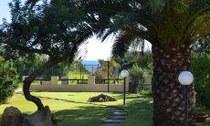 Villa Gaia | Giardino con una grande palma e vista mare giardino