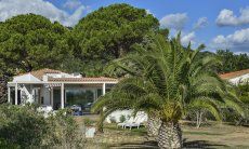 Villa Graziano | Giardino grande con palme Giardino