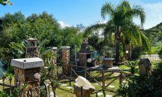 Villa Le Ginestre 2 | Giardino Giardino