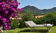 Li Conchi 4 | Boungainville e lettini da sole nel giardino davanti a casa Giardino