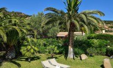 Villa Chiara | Giardino con Palme Giardino con Palme
