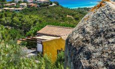 Apartment Orchidea-C | Immerso nel verde con il mare in sottofondo Immerso nel verde con il mare in sottofondo
