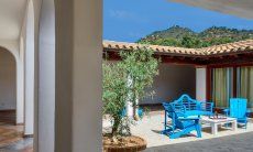Villa Campidano 8 | Cortile campidanese con mobili per l'esterno e olivo Cortile