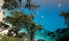 Vista sul mare trasparente di Cala Goloritze attraverso alberi e pini