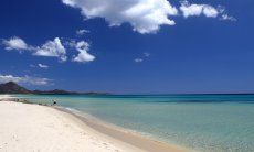 Villa Le Ginestre 2 | Sardegna Costa Rei Sardegna