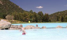 Li Conchi 35 | Grande piscina con parte profondo e bassa in mezzo al verde Grande piscina con parte profondo e bassa in mezzo al verde