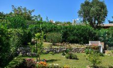 Villa Nicola | Giardino fiorito dietro la casa Giardino