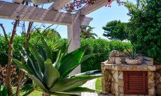 Piante mediterrane