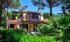 Villa Pino | Giardino e Villa Pino al pianterreno Giardino e Villa Pino (pianterreno)